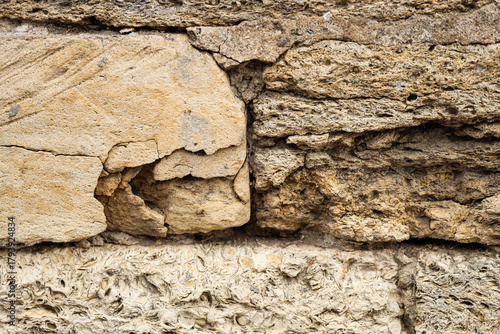 Texture of shell stone wall...