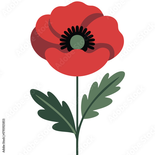 Remembrance Day poppy flower with green leaf isolated vector illustration on white background