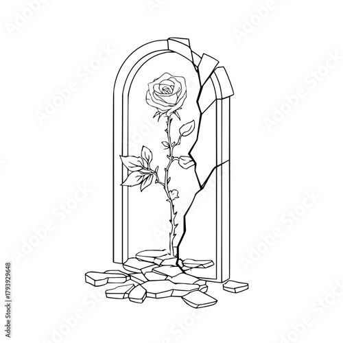 Beauty and the beast enchanted rose drawing vector illustration outline coloring page design isolated object art