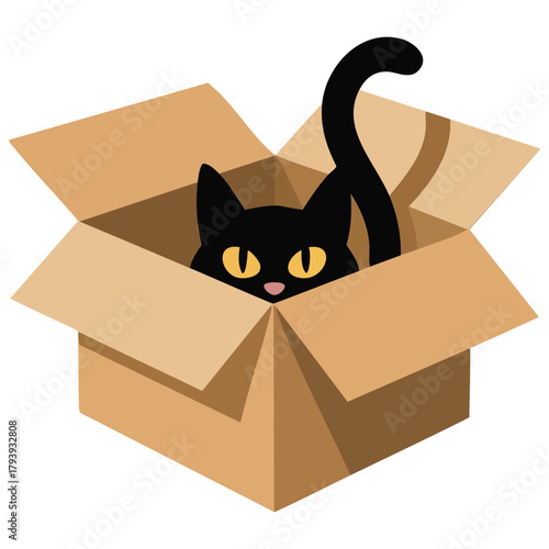Cat playing inside cardboard box fun activity isolated vector illustration
