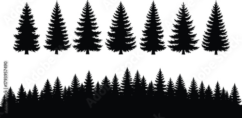 Silhouette of Evergreen Trees A Collection of Artistic Illustrations for Design & Decorative Use