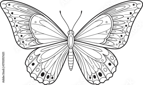 PrintBeautiful butterfly line art, detailed insect illustration, black and white butterfly drawing, elegant wing pattern design, coloring page for adults and kids