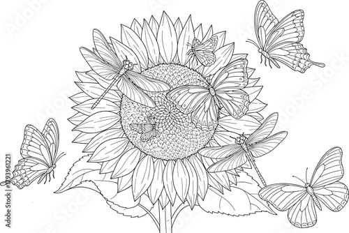 PrintDetailed sunflower and butterflies line art drawing, elegant floral illustration, nature coloring page, dragonfly and butterfly sketch design