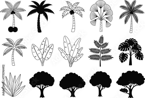PrintTropical palm tree silhouette collection, exotic plant vector illustration, black and white nature design, summer jungle leaves set, botanical art