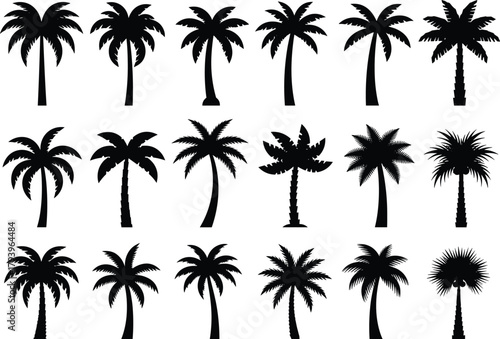 PrintTropical palm tree silhouettes collection, black and white vector illustration of exotic coconut trees, beach paradise, island nature, summer vacation design.
