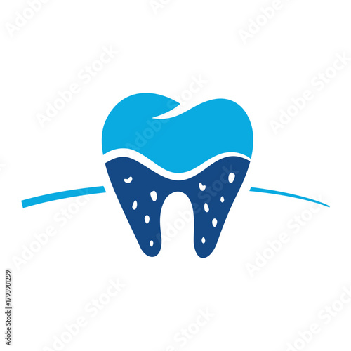 Tooth Roots