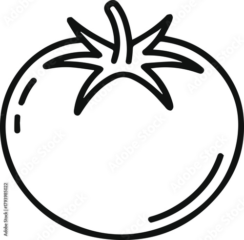 Simple tomato outline icon vector illustration. Minimalist vegetable sketch symbol isolated on white. Food ingredient line art.