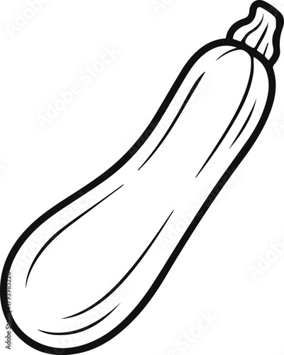 Zucchini line art vector illustration sketch. Simple vegetable outline icon isolated on white. Food ingredient gourd drawing symbol.