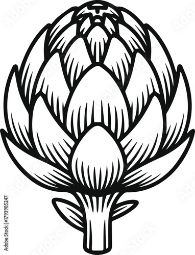 Artichoke line art vector illustration sketch. Simple vegetable outline icon isolated on white. Flower bud food ingredient symbol.