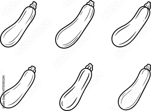 Zucchini line art vector illustration collection. Set of simple vegetable outline icons sketch. Gourd food ingredient drawing symbol.