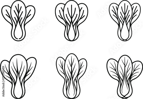 Bok choy line art vector illustration collection. Set of simple vegetable outline icons sketch. Chinese cabbage food ingredient drawing symbol.