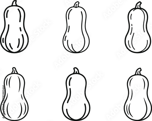 Butternut squash line art vector illustration collection. Set of simple vegetable outline icons sketch. Autumn gourd food ingredient drawing symbol