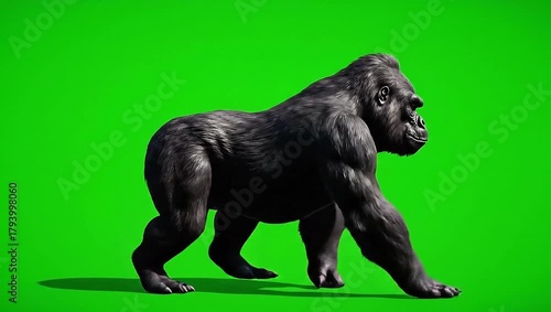 Powerful Gorilla Strolling Across A Vibrant Green Backdrop, Depicting Strength, Wildlife, And The Majesty Of The Primate World In A Striking Visual