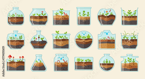 Vibrant terrarium ecosystems showcase plant growth, soil layers, and tiny life in diverse glass containers, perfect for educational and natural science themes.