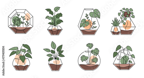 A collection of minimalist line art illustrations featuring various potted plants and modern geometric terrariums, perfect for stylish home decor.