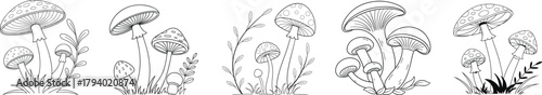 Hand-drawn mushroom illustration set featuring detailed forest fungi in black and white. Botanical sketch collection ideal for nature art, organic design, and herbal themes.