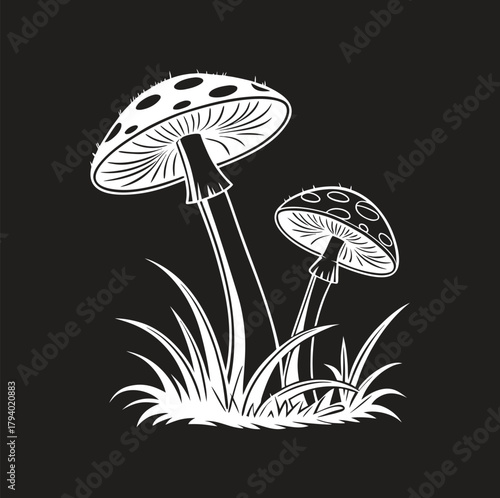 Black and white mushroom illustration with tall toadstools in grass. Stylized monochrome forest fungi drawing in bold graphic silhouette style.