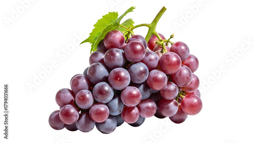 Plump, ripe crimson berries form a substantial cluster against a solid dark background.