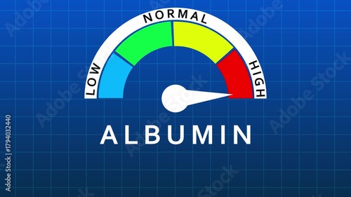 Albumin Level Gauge Showing Normal Range on Blue Grid Background meter indicator