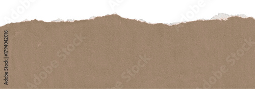 Horizontal Torn Kraft Paper Strip