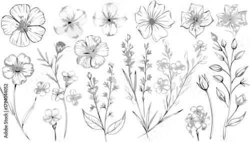 Elegant floral design elements for delicate invitations and creative projects in grayscale
