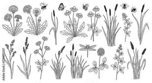spring flowers vector