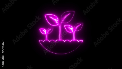 Neon pink color seedlings planted in a field on black background, glowing young plants growth concept, digital agriculture and sustainability symbol, eco farming sprout graphic, futuristic nature
