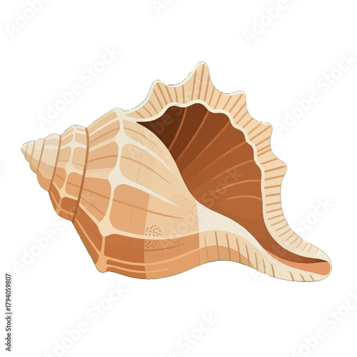 Detailed Illustration of a Brown Conch Shell