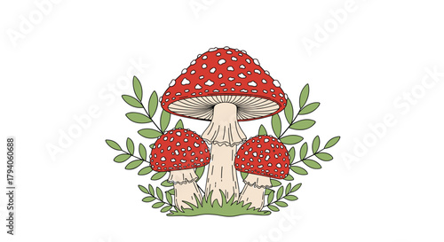 Hand-drawn illustration of a cluster of red and white spotted mushrooms, featuring a large central one and two smaller ones, surrounded by green leaves and grass.