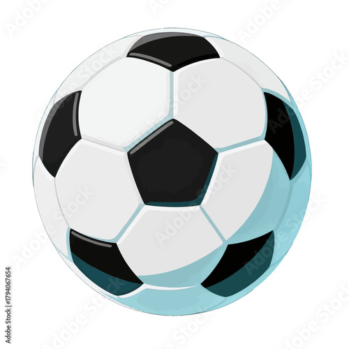 Soccer Ball with Classic Black and White Design