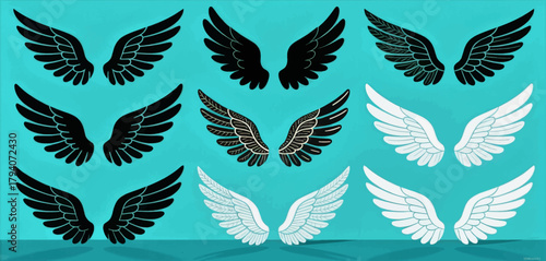 Wing illustration set in minimal style, isolated on turquoise background