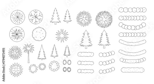 Overhead view of various trees and shrubs in a black and white line drawing.