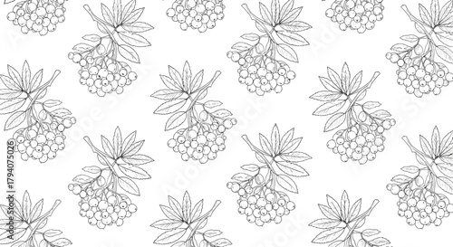 Seamless black and white pattern with hand-drawn rowan berries and leaves, perfect for textile, wallpaper, or decorative designs.