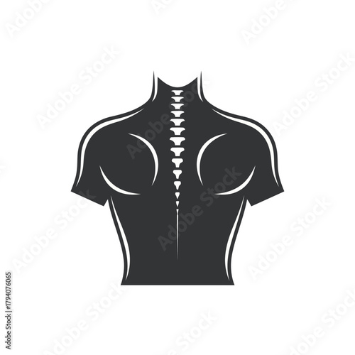 Stylized illustration of the human spine and upper back