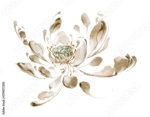 Exquisite freehand ink wash lotus flowers