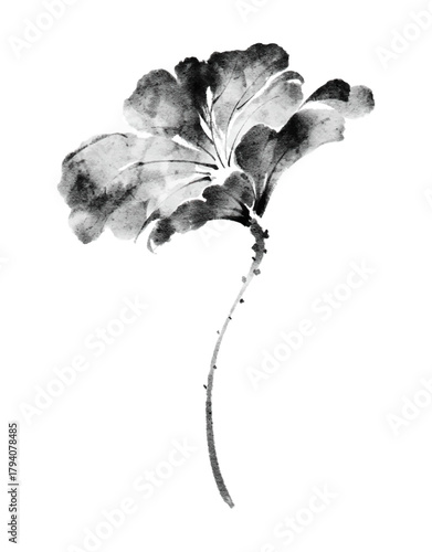 Elegant black and white ink lotus leaves