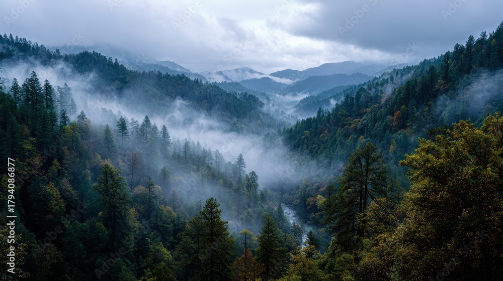 Obraz premium Misty Mountain Valley: Forested Hills and River Under Cloudy Sky