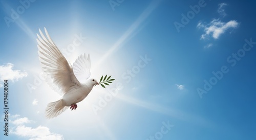 Dove of peace flying in the sky with an olive branch, symbolizing hope and freedom, peace background concept