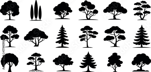 Tree silhouettes vector collection, forest icons, conifer evergreen deciduous, nature botanical, landscape elements, design graphics, illustration bundle set symbols