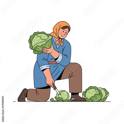 Woman harvesting cabbage