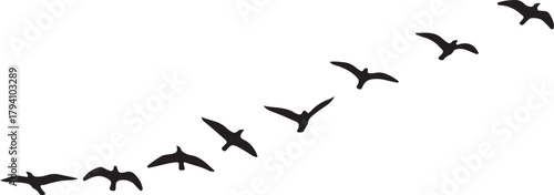 Flock of Birds Flying Silhouette: Nature Vector Graphic

Bird Migration Icon: Set of Flying Animal Silhouettes

Freedom and Journey Concept: Birds in V-Formation Silhouette