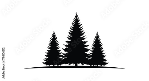 Silhouette of three tall evergreen pine trees standing together on a white background