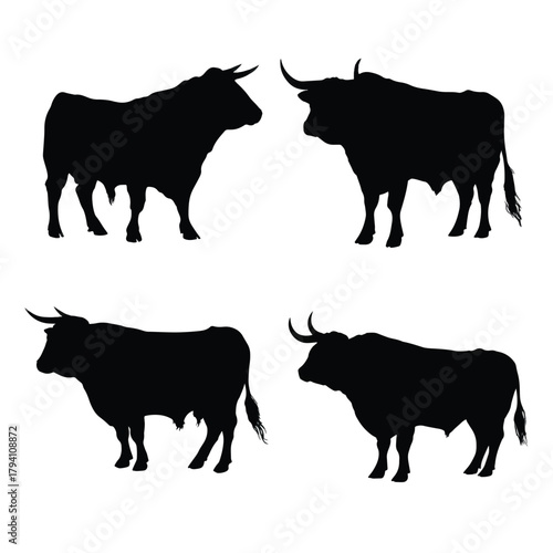 set of cows