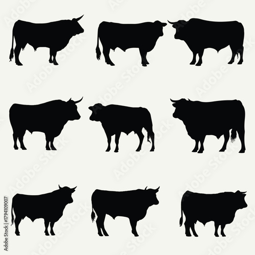set of cows
