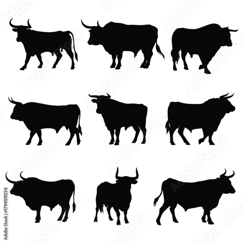 set of cows