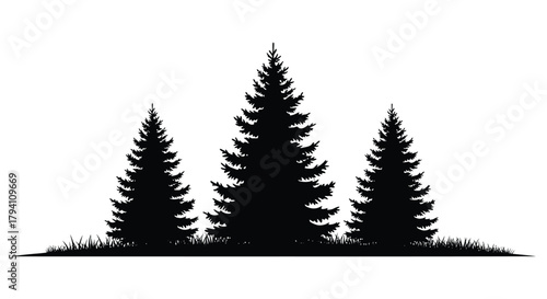 Silhouette of three tall evergreen pine trees standing in a grassy field against a white background