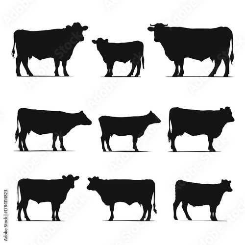 set of cows