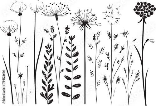 Botanical Sketches: An elegant assembly of delicate botanical sketches, each line telling a story of growth and natural beauty. These elegant designs bring an artistic charm.