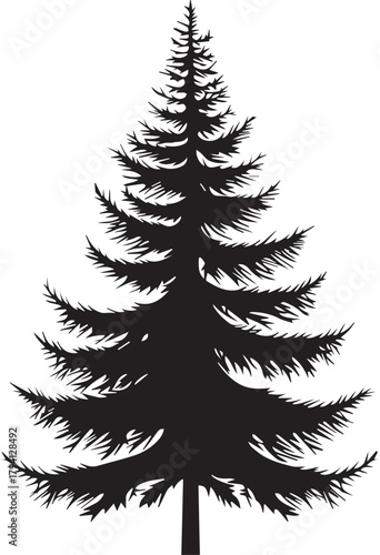 Evergreen Silhouette: A detailed silhouette of a majestic evergreen tree, standing tall against the bright background, a symbol of resilience and timeless beauty.
