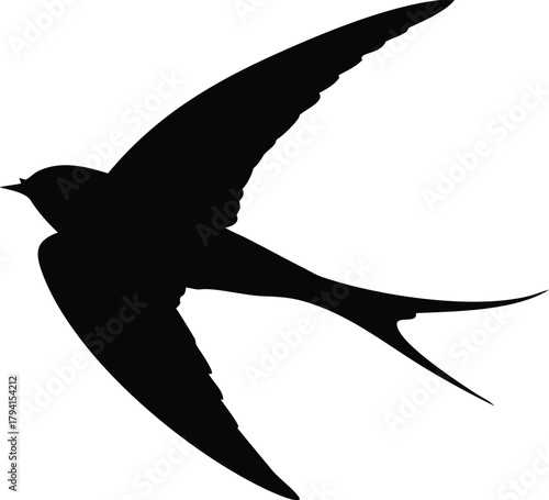 A striking silhouette of a bird in mid flight wings beautifully extended